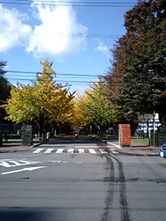 f0033117_10381820.jpg