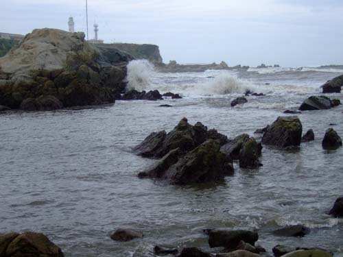 f0147025_21405110.jpg