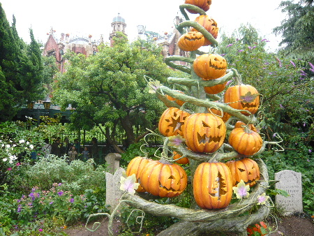 f0005826_8391593.jpg