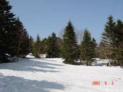 d0055236_22181097.jpg