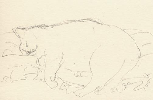 猫の絵_b0089338_23355367.jpg