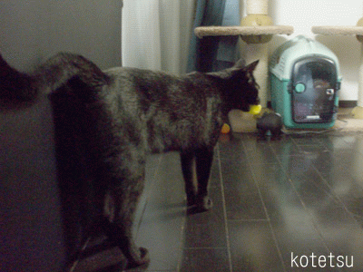 c0132438_2232728.gif
