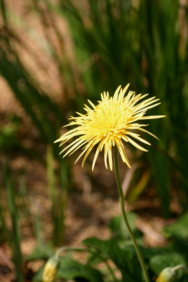 e0083238_003997.jpg