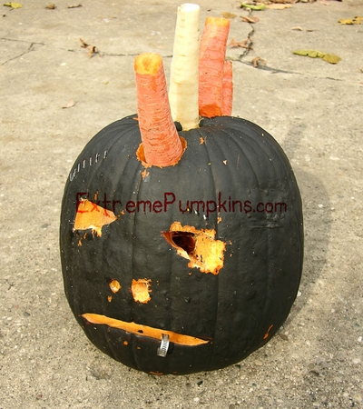 extremepumpkins.com_e0104941_1494838.jpg