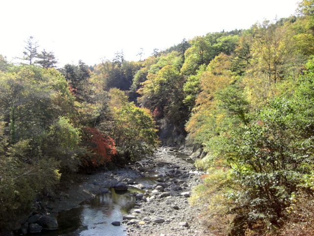 秋の北海道を走る・１　　＜死にかけライダー＞_c0046846_2175340.jpg