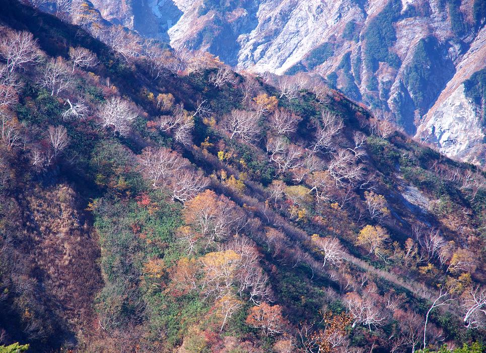 b0147449_1128742.jpg