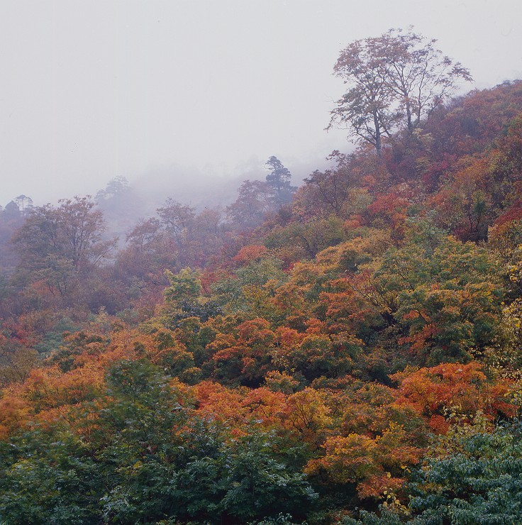 f0169053_16305227.jpg