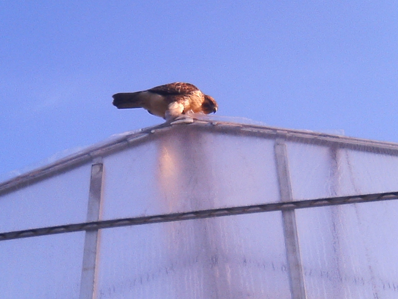 f0104457_45139100.jpg