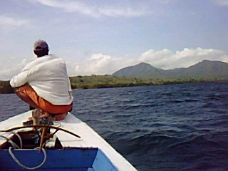 d0056263_12232350.jpg