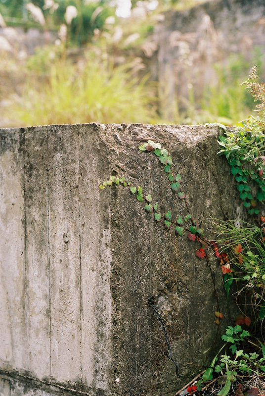 時の量感_c0084666_9364321.jpg