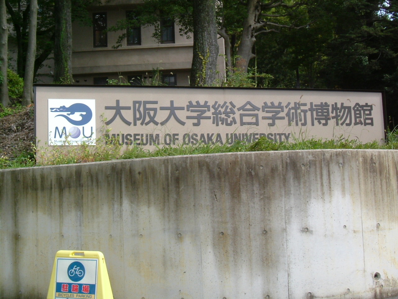 大阪大学総合学術博物館_f0150767_13514098.jpg