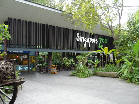 Singapore Zoo_a0002177_22371590.jpg