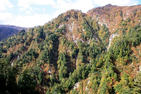 秋の白神山地 釣瓶落峠 紅葉の絶壁 Kotoコレ17 秋の白神山地 釣瓶落峠 紅葉の絶壁 Kotoコレ17