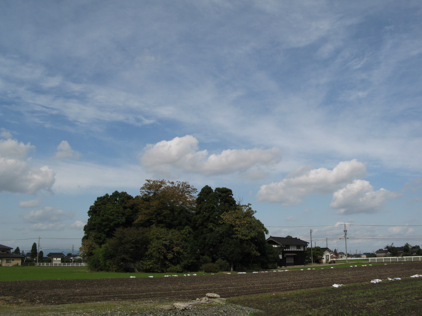 土曜日の空_d0047885_22523552.jpg