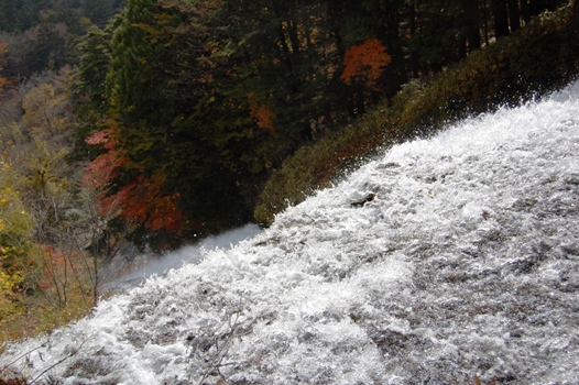 湯滝～湯ノ湖_d0153294_219556.jpg