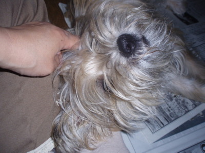 c0086895_021027.jpg