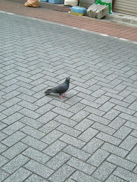 e0003097_21354743.jpg