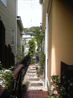 f0017897_10324414.jpg