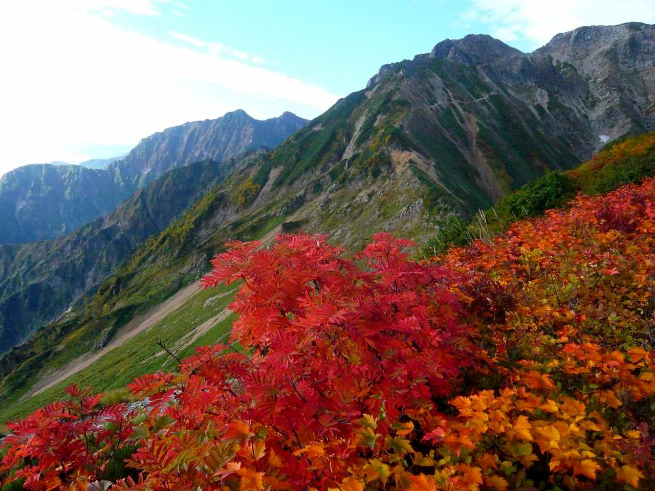 五竜岳から遠見尾根を下る　（３日目）_e0110500_1935369.jpg