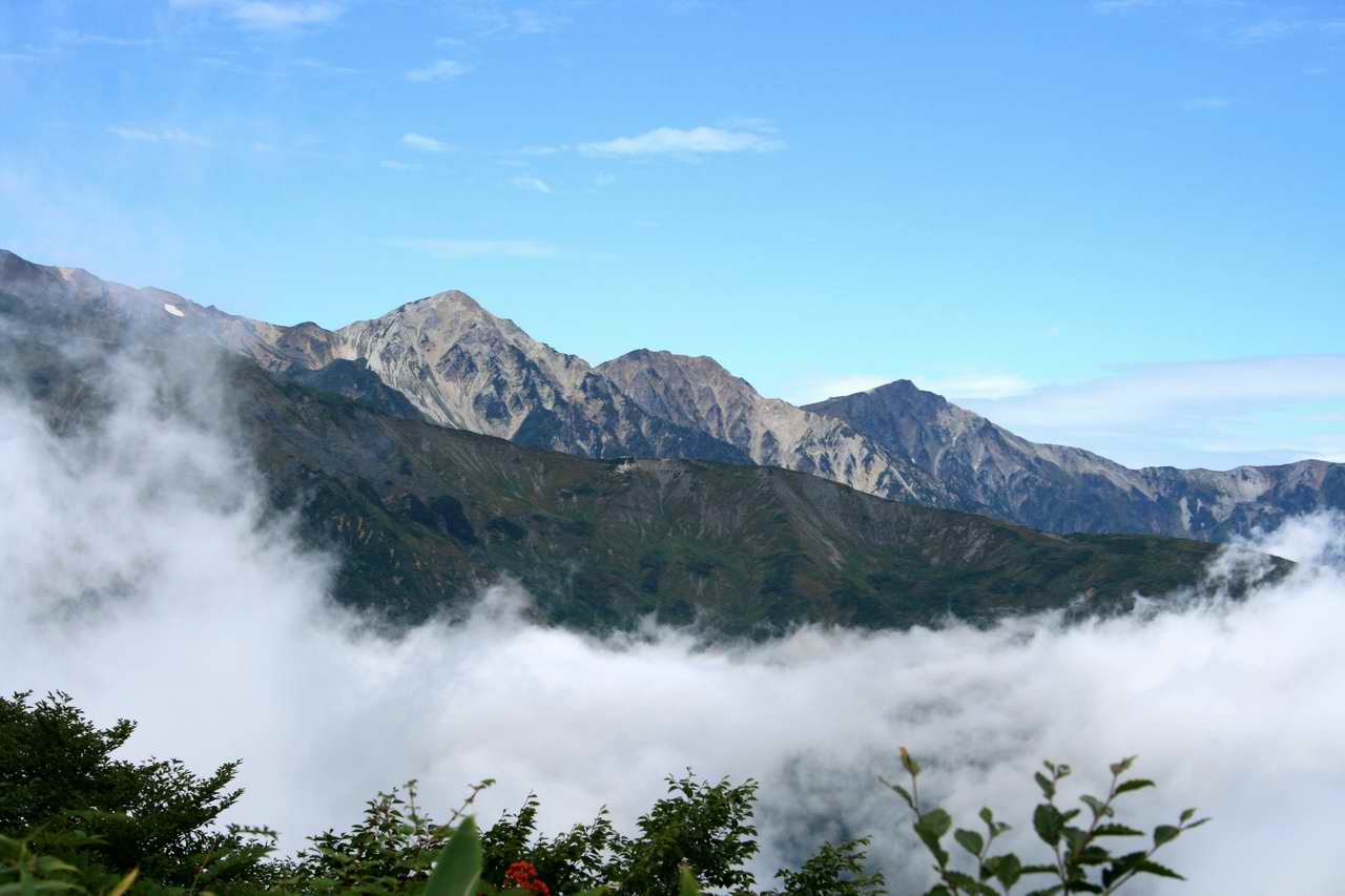 五竜岳から遠見尾根を下る 3日目 山好き的日々 京都北山 五竜岳から遠見尾根を下る 3日目 山好き的日々 京都北山