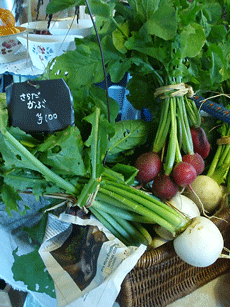 c0129702_128305.gif