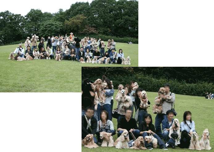 c0128303_2047131.gif