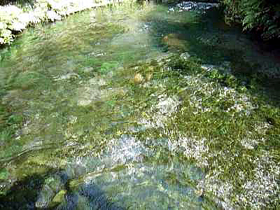 f0126903_20141586.jpg