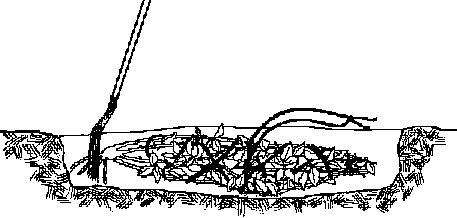 f0160407_531718.gif
