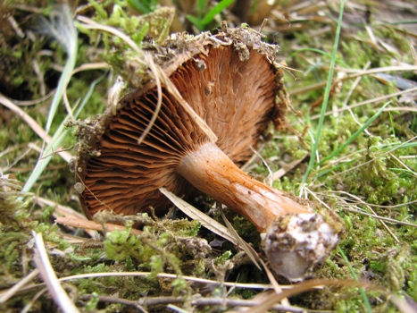 b0137208_21273566.jpg