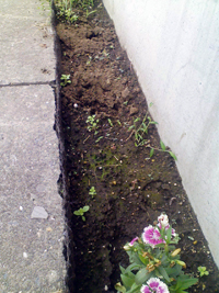 e0056411_0472343.jpg
