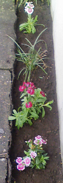 e0056411_154098.jpg