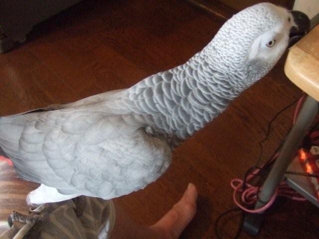 c0133013_1437387.jpg