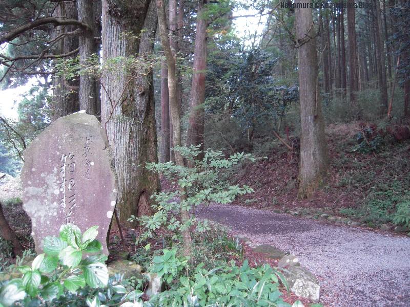 東海道と恩賜公園 (箱根旅行 その４)_f0167314_17192123.jpg