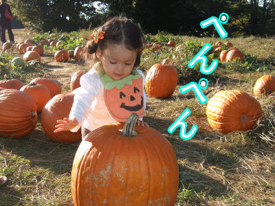 c0151122_9585965.gif