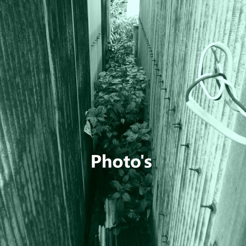 d0104128_14124887.jpg