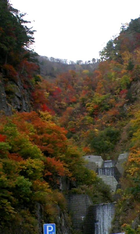 b0134529_2043287.jpg