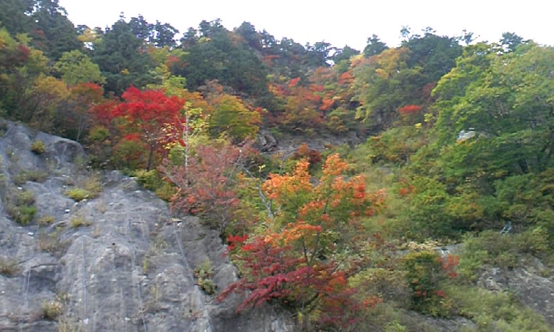 白山スーパー林道にて_b0134529_20455633.jpg