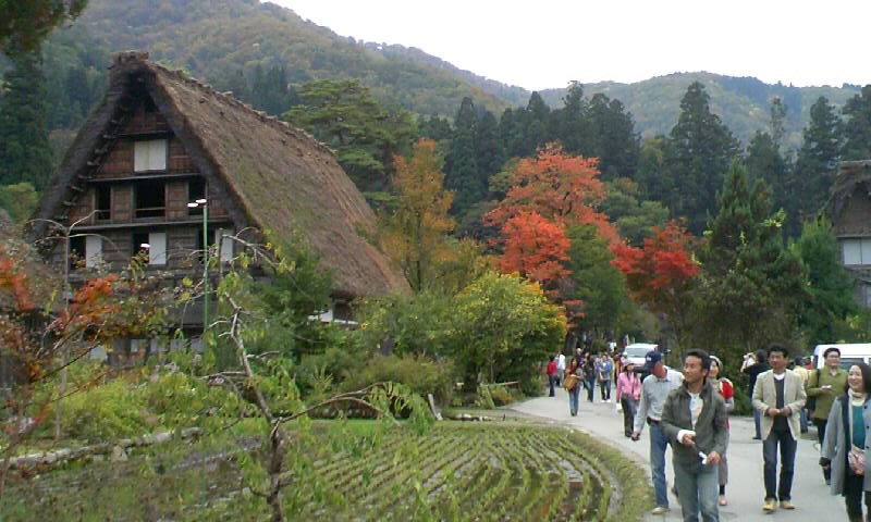 白山スーパー林道にて_b0134529_20464329.jpg