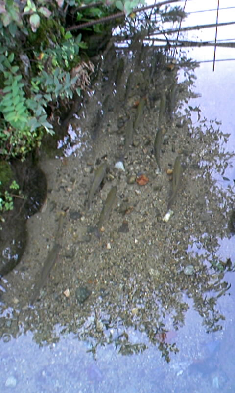 b0134529_20593511.jpg