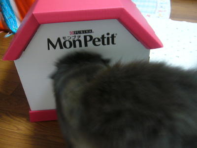 必ずもらえるプレゼント2008_d0152937_11343838.jpg