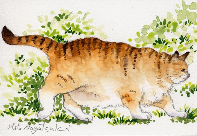 猫の絵「散歩」~水彩画~_b0089338_23384461.jpg