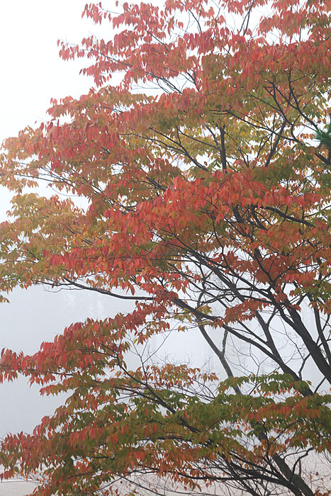 c0067040_22311375.jpg