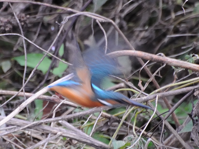 c0165640_20431662.jpg