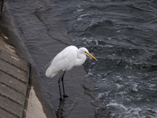c0165640_20472175.jpg