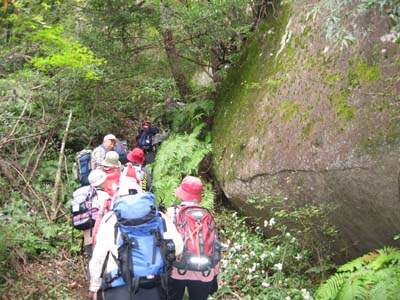 e0110940_2351811.jpg