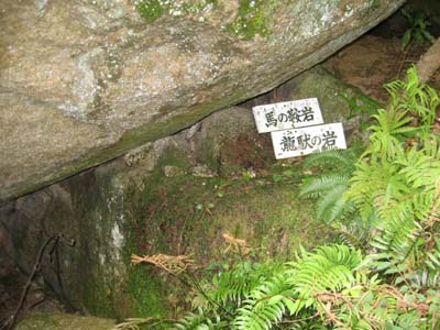e0110940_2352610.jpg
