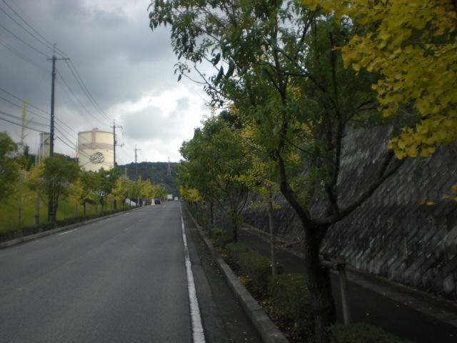 b0152548_17111685.jpg