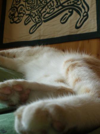 毎日更新している私_a0087957_4155014.jpg
