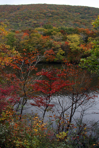f0147858_19311291.jpg