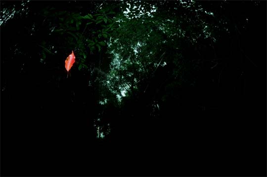 f0171067_10382538.jpg